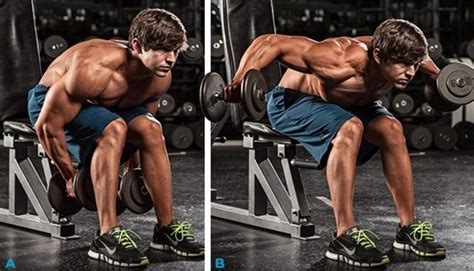Seated Bent Over Dumbbell Lateral Raise Bodybuilding Wizard
