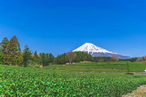 10 Best Things To Do In Shizuoka Japan Web Magazine