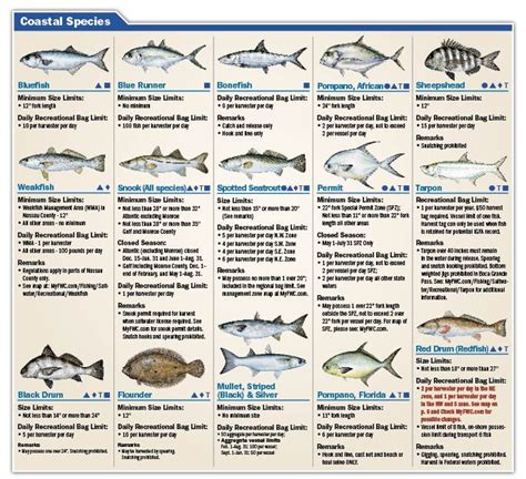 √ Recreational Fishing Bag Limits