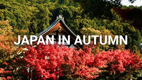 My Autumn Trip To Japan 14 Days In Japan Youtube