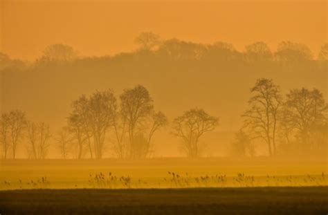 Saharastaub kommt öfter mal vor im süden deutschlands. Warm, aber diesig im Südwesten: Saharastaub macht die Luft ...