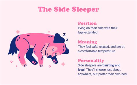 Dog Sleeping Positions Chart Meaning