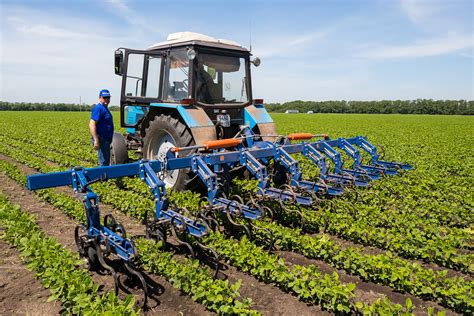 Loosening The Soil Cultivating Efficiency
