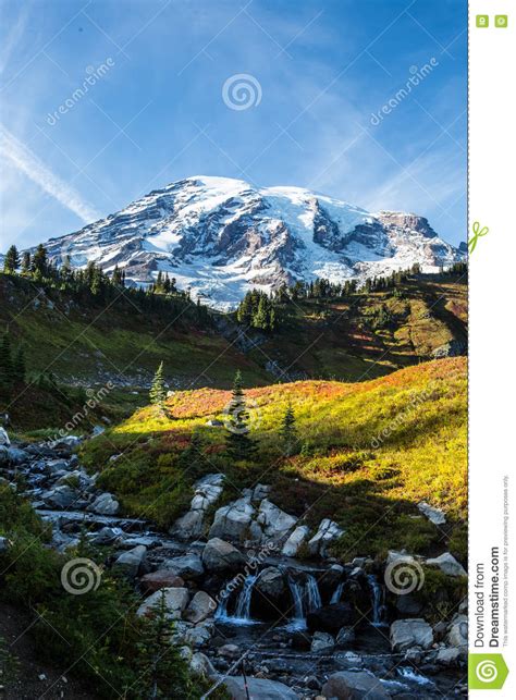 Mount Rainier Landscape Stock Photo Image Of Hiking 81499732