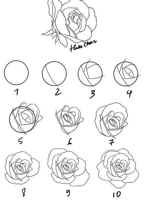 Heart Rose Drawing Step By Step Easy Drawing Ideas The Best Porn Website