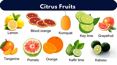 List Of All Citrus Fruits Citrus Fruits Name With Pictures Grammarvocab