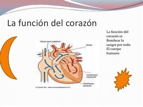 Power Point Del Corazon