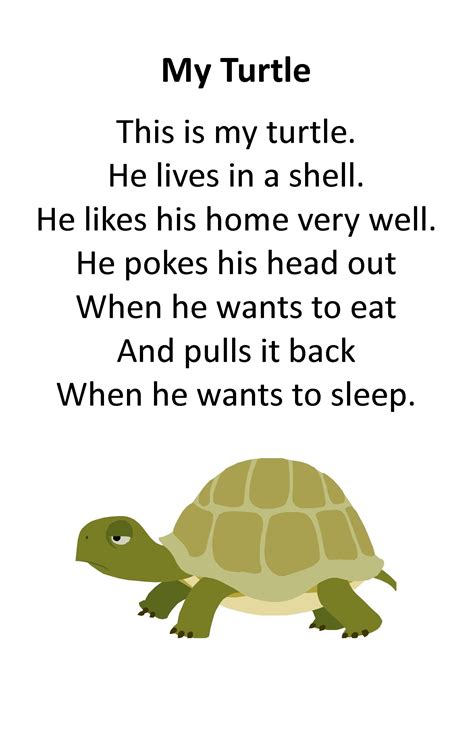 Itty Bitty Rhyme My Turtle Kids Poems Preschool Poems Songs For