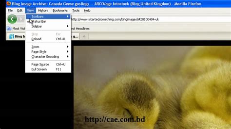Save Bings Background Image As Desktop Wallpaper Youtube