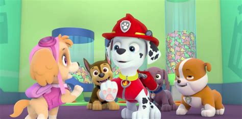 Marshall Paw Patrol Photo 40263261 Fanpop