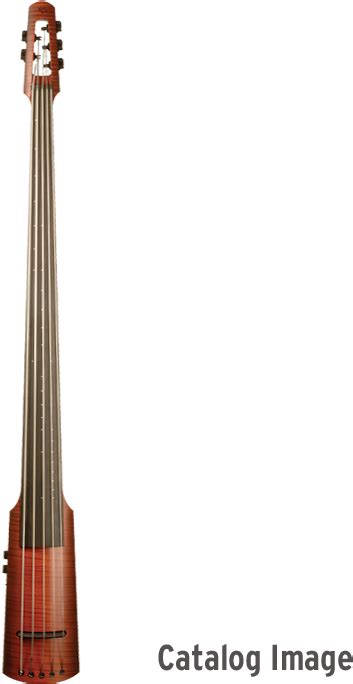 Download B Stock Nxt5a Electric Upright Bass Ns Design Full Size
