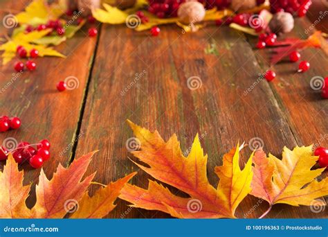 Autumn Maple Yellow Leaves On Wooden Background Stock Image Image Of