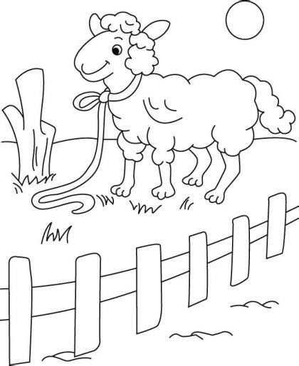 Farm Fence Coloring Coloring Pages