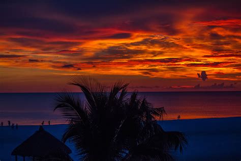 Sunset Palm Trees Ocean Beautiful View 4k Hd Nature 4k