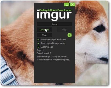 Imgur Gallery And Album Downloader Download Free Download Nude Photo Gallery