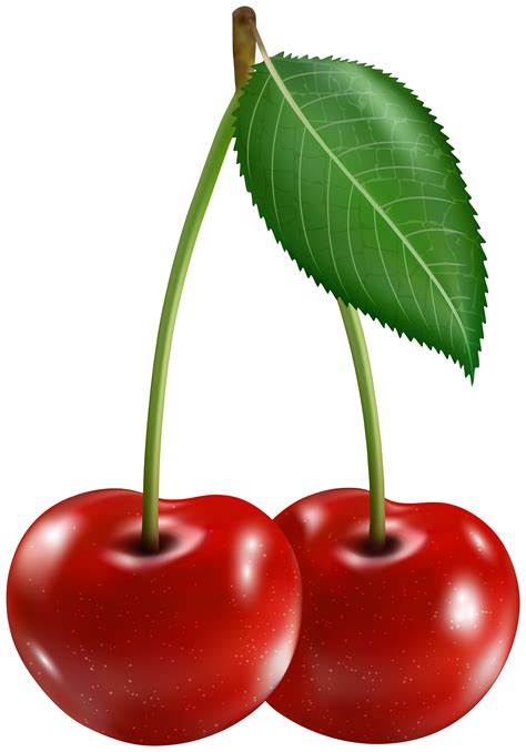 Cherry Clipart Fruit Pictures On Cliparts Pub 2020 🔝