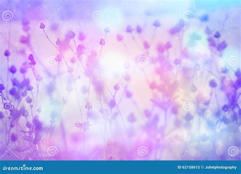 Dreamy Pink Beautiful Floral Background Stock Image Image Of