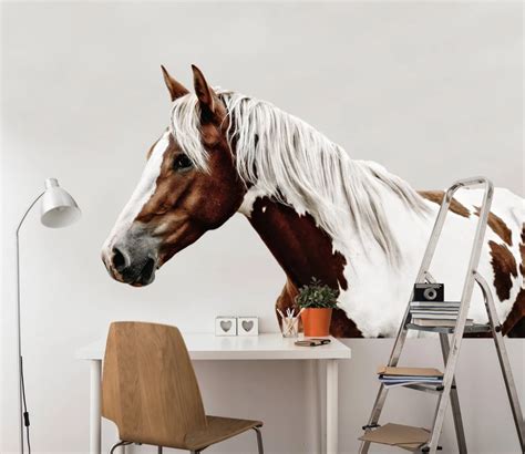 3d Handsome Horse 130 Animals Wall Stickers Aj Wallpaper Animal