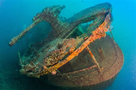 Woman Explores Sunken Navy Shipwreck After 75 Years Look What She