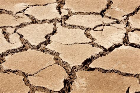 Brown Cracked Dry Earth — Stock Photo © Sarosa 2620904