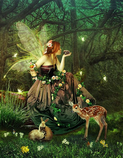 fairies of the forest fairies fan art 41326969 fanpop