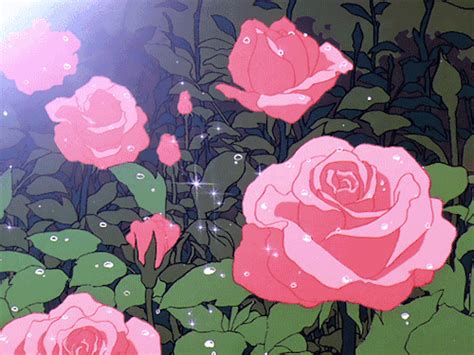 Ide Gif Aesthetic Rose D Wallpaper
