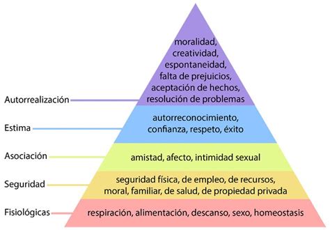 Ecobur La Pirámide De La Motivación
