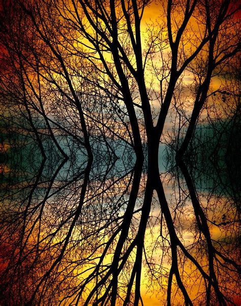Colorful Sunset Behind The Silhouette Of Tree Branches In A Mirror