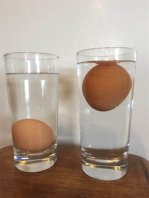 How To Know If Expired Eggs Are Still Good Use The Egg Float Test