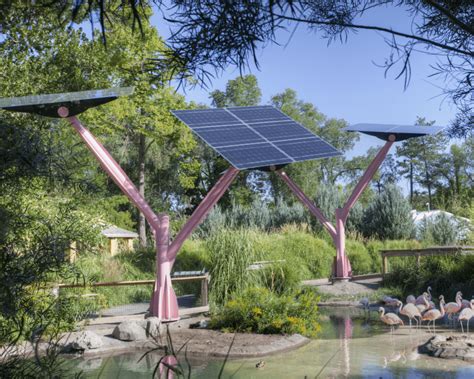 Solar Energy Trees Client Project Photo Gallery Spotlight Solar