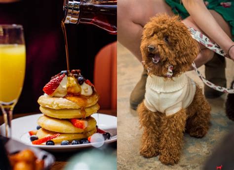 London Bowling Alley Allows Dogs Offers Bottomless Brunch From 33