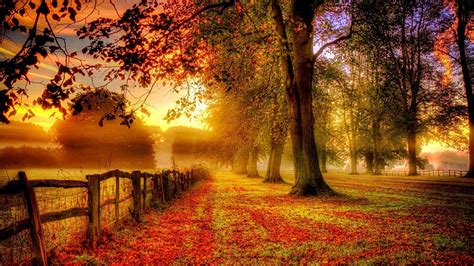 Beautiful Autumn Wallpapers 66 Background Pictures