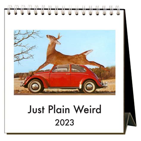 Top 17 Best Weird Calendars 2023