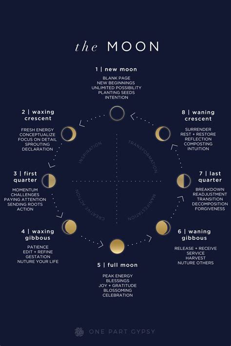 Infographic Design A Comprehensive Lunar Guide Describing Each Of The