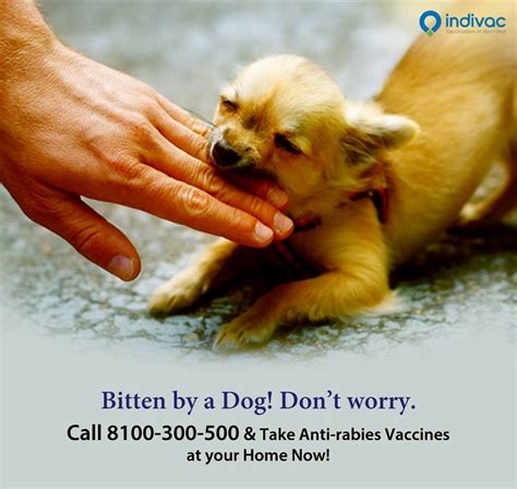 When it comes to how often your dog will need a booster your vet will be able to guide you on what is healthy and safe. Teach Besides Me: When Do Puppies Get Rabies Shot