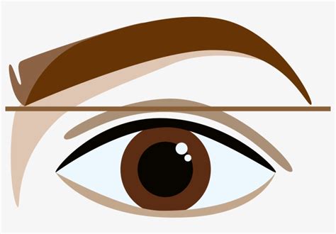 Perfectly Shaped Eyebrows Brown Eyebrow Cartoon Free Transparent Png Download Pngkey