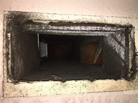 ON KPRC-TV in 20 minutes: They... - KPRC2 Joel Eisenbaum