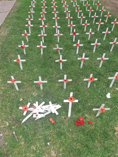 Remembrance Day Cross Vandals Wont Beat Us Daily Telegraph