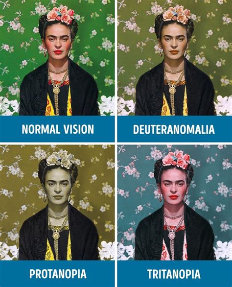How People With Different Kinds Of Color Blindness See The World