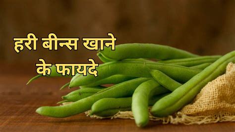 green beans benefits हड्डियों को स्वस्थ रखने से लेकर ग्लोइंग स्किन तक जानिए हरी बींस खाने के