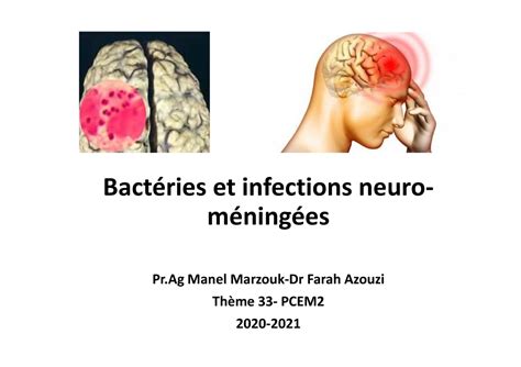 Micro Organismes Et Infections Neuro Méningées Pdf Bactéries Et