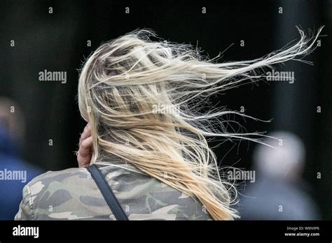 Windswept Hair Wind Blown Bad Hair Day Windy Weather Storm Stormy Day Landscape Windswept Hair