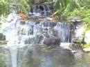 Look deep into nature, and then you will understand everything better. Learning To Mimic Nature - YouTube