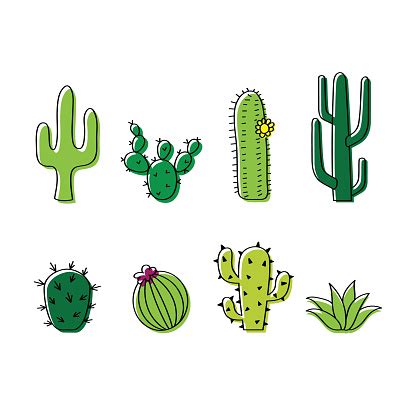 Purchase includes if you'd like it in the documents folder, open the documents > right click > add folder. Set Of Vector Cacti Cactus Doodle Illustration Stock ...