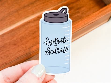 Hydrate Or Diedrate Sticker Water Bottle Sticker Sticker Etsy