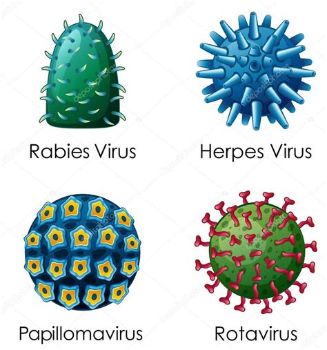 Cuatro Tipos De Virus En El Cartel Vector De Stock De ©interactimages