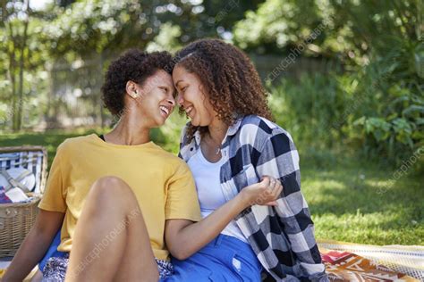 Happy Lesbian Couple On Picnic Blanket Stock Image F0378985 Science Photo Library