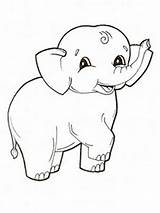 Elephant Coloring Pages Baby Print sketch template
