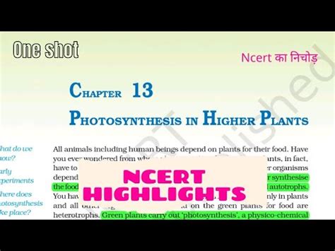 Photosynthesis In Higher Plants Class Ncert Highlights Ncert Focus