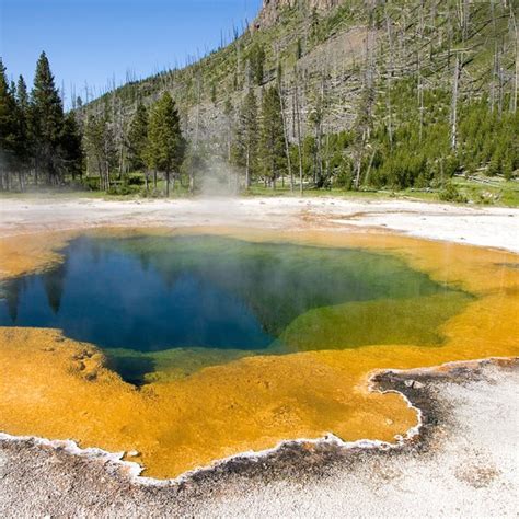 Maybe you would like to learn more about one of these? Hot Springs for Swimming Near Yellowstone | Getaway USA